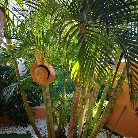 Wohlfuehloase In Maspalomas Holiday home