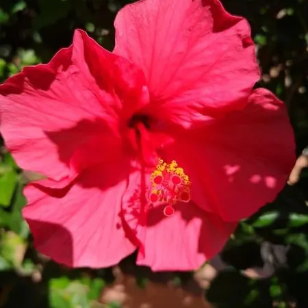 Holiday home Wohlfuehloase In Maspalomas Maspalomas (Gran Canaria)